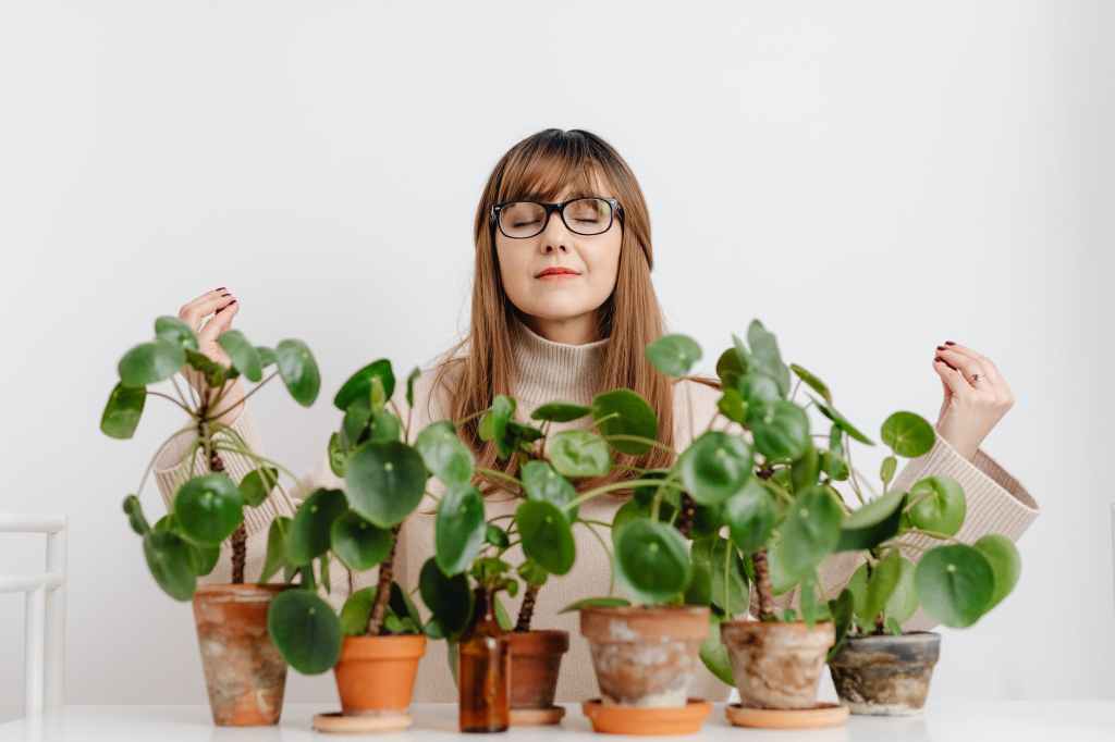 A woman meditating in front of a row of green houseplantsplants